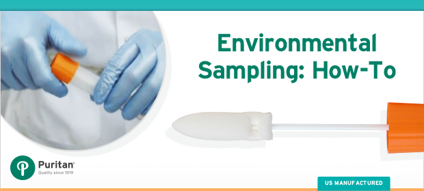How to Test for Pathogens in Food [Guide With Images]