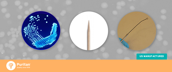 MALDI-TOF_applicator-sticks.png