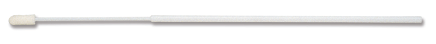 foam swab for flu testing