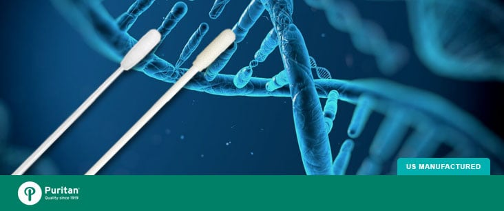 Ancestry DNA kits: Collection by Swab or Spit, and Just What They Reveal