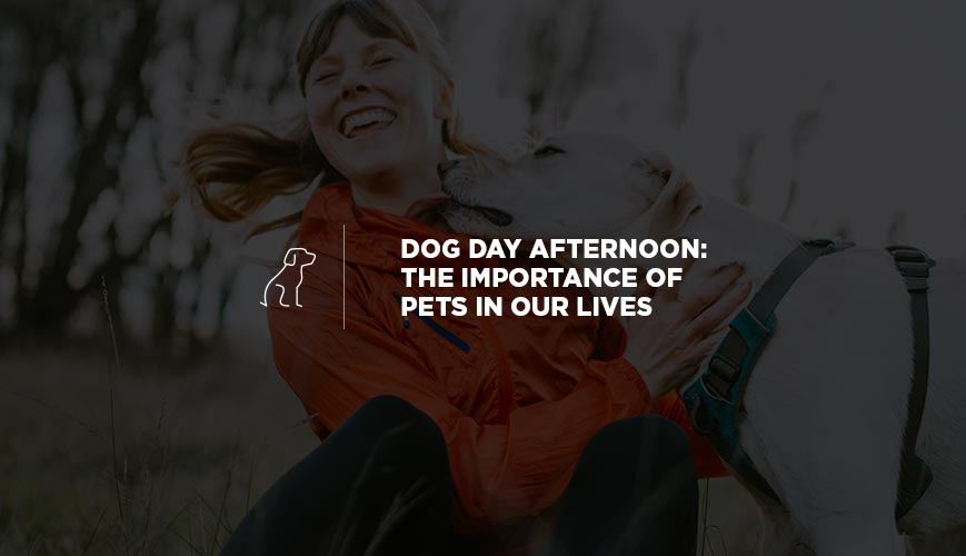 Dog Day Afternoon: The Importance of Pets in Our Lives